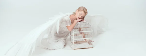 Красива жінка в костюмі ангела з крилами, що спираються на клітку птахів і дивиться на камеру ізольовано на білому — стокове фото