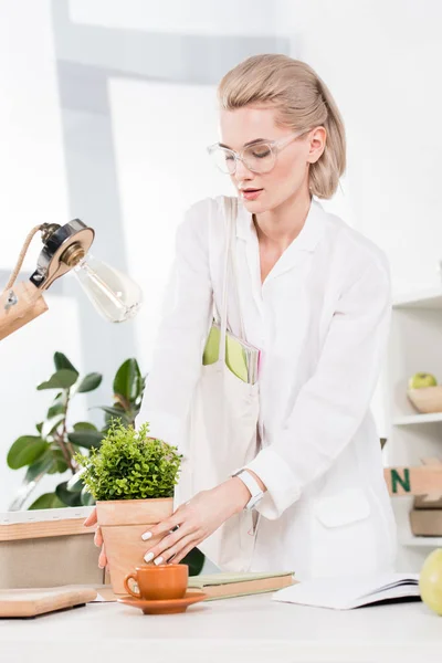 Atractiva mujer que sostiene la planta cerca de la lámpara de ahorro de energía en la oficina, concepto de ahorro ambiental - foto de stock