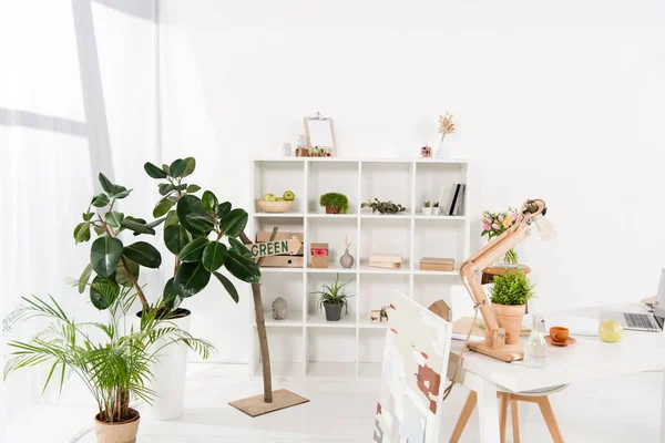 Espace de travail avec plantes vertes et bureau dans un bureau moderne — Photo de stock