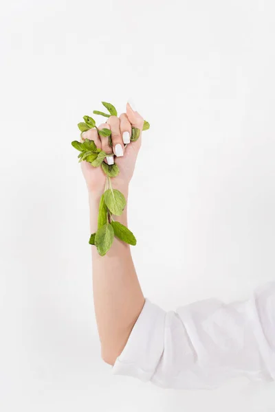 Femme tenant des feuilles de menthe verte à la main isolées sur blanc, concept d'économie de l'environnement — Photo de stock