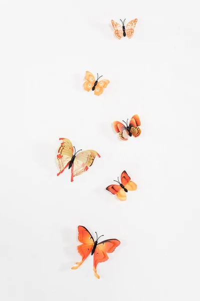 Borboletas laranja voando isolado em branco, conceito de economia ambiental — Fotografia de Stock