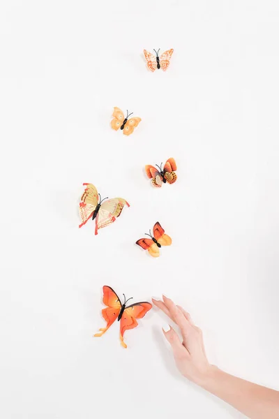 Vista recortada de la mano femenina cerca de mariposas naranjas volando sobre fondo blanco, concepto de ahorro ambiental - foto de stock