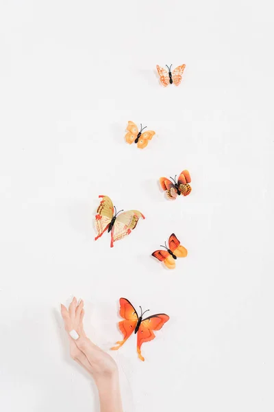 Vista cortada da mão feminina perto de borboletas voando sobre fundo branco, conceito de economia ambiental — Fotografia de Stock