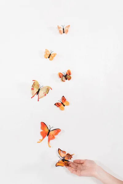 Vista recortada de la mujer liberando mariposas naranjas sobre fondo blanco, concepto de ahorro ambiental - foto de stock