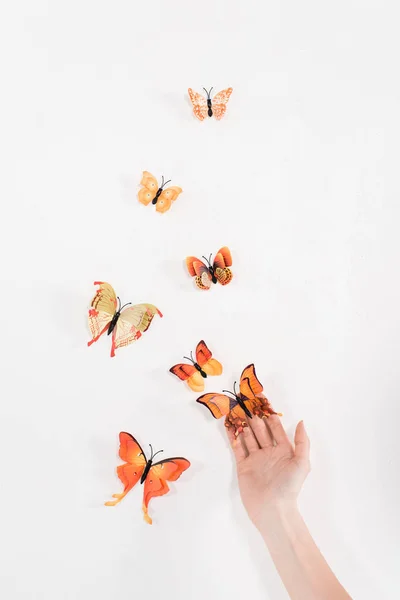 Zugeschnittene Ansicht einer Frau, die Schmetterlinge auf weißem Hintergrund freilässt, Umweltschutzkonzept — Stockfoto