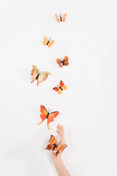 Vista recortada de la mano cerca de mariposas naranjas volando sobre fondo blanco, concepto de ahorro ambiental - foto de stock