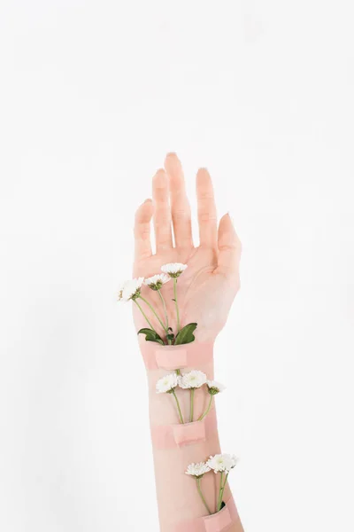 Vista recortada de la mujer con flores en la mano aislado en blanco, concepto de ahorro ambiental - foto de stock