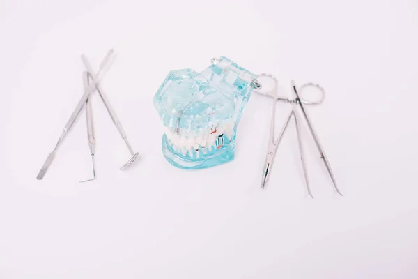 Modelo de mandíbula e instrumentos dentários isolados em branco — Fotografia de Stock