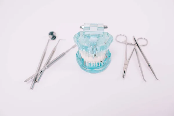 Modelo de mandíbula e instrumentos dentales aislados en blanco - foto de stock