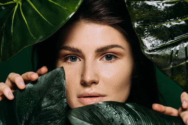 Belle fille avec des taches de rousseur sur le visage posant avec des feuilles isolées sur vert — Photo de stock