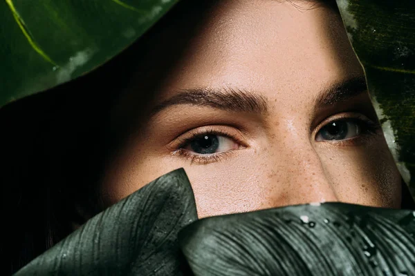 Femme attrayante avec des taches de rousseur posant avec des feuilles de palmier vert — Photo de stock