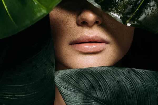 Vista ritagliata di ragazza con lentiggini in posa con foglie tropicali verdi — Foto stock