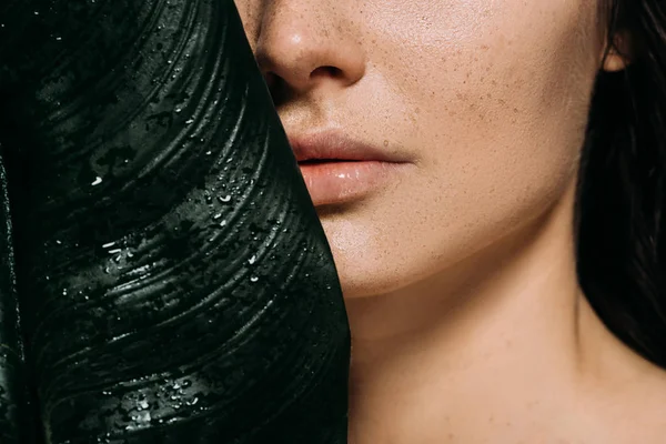 Cropped view of beautiful woman with freckles posing with green palm leaf — Stock Photo