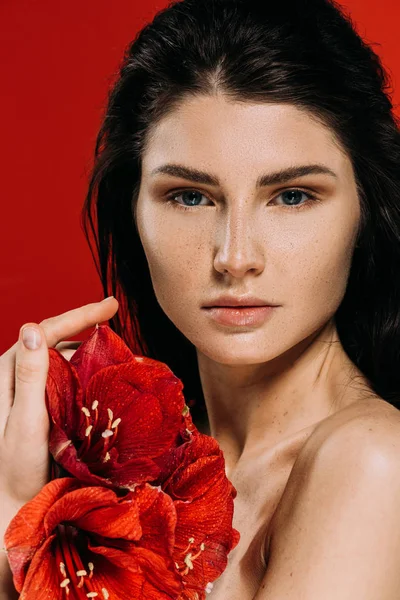 Atractiva chica morena con pecas en la cara posando con flores amarilis, aislado en rojo - foto de stock