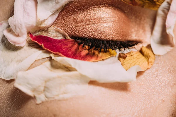 Primer plano de chica con pétalos y maquillaje en ojo cerrado - foto de stock