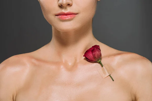 Vista cortada de menina com flor de eustoma vermelho no corpo, isolado em cinza — Fotografia de Stock