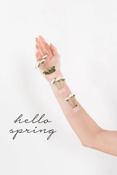 Vista recortada de la mujer con flores silvestres en la mano sobre fondo blanco con hola ilustración primavera - foto de stock