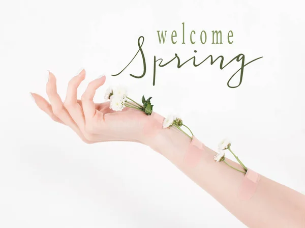 Vista recortada de la mujer con flores silvestres en la mano sobre fondo blanco con ilustración de primavera bienvenida - foto de stock