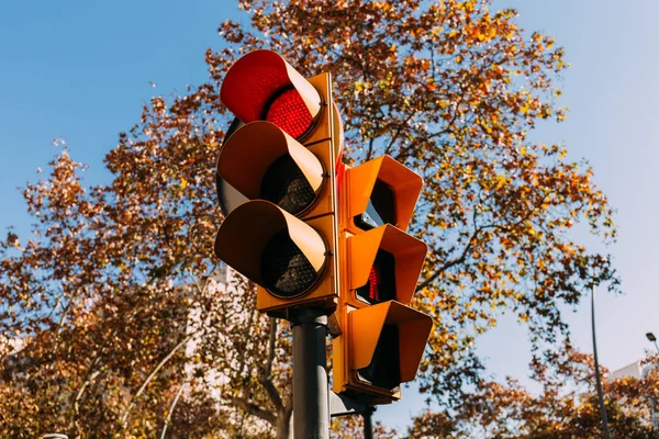 Feu de circulation avec signal rouge, arbres verts et ciel bleu clair sur le fond, Barcelone, Espagne — Photo de stock