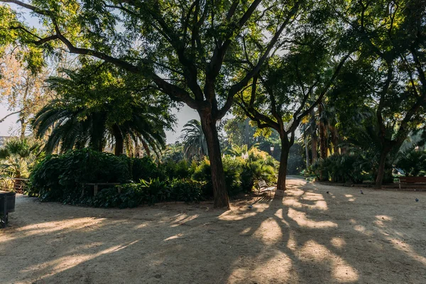 Árvores verdes e percursos pedestres em parc de la ciutadella, barcelona, espanha — Fotografia de Stock