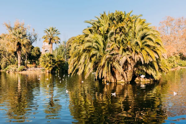 Exuberante árvores verdes e belo lago no parc de la ciutadella, barcelona, espanha — Fotografia de Stock
