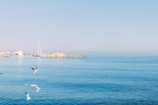 BARCELONA, ESPAÑA - 28 DE DICIEMBRE DE 2018: vista panorámica del tranquilo mar azul con gaviotas voladoras — Stock Photo