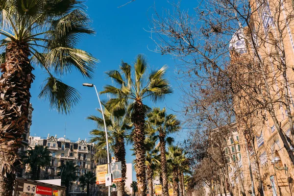 БАРСЕЛОНА, Испания - 28 ДЕКАБРЯ 2018 года: городская сцена со зданиями и высокими зелеными пальмами — стоковое фото