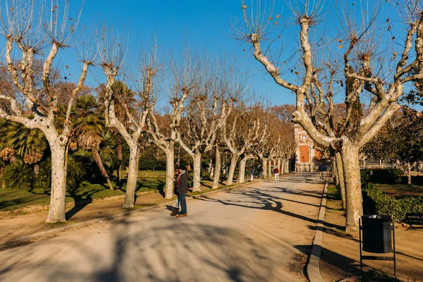 BARCELONA, ESPANHA - 28 DE DEZEMBRO DE 2018: beco ensolarado com árvores planas e palmeiras — Fotografia de Stock