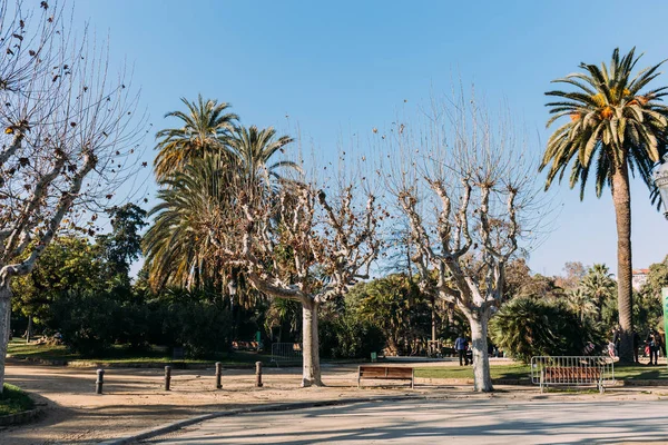 BARCELONA, ESPAÑA - 28 DE DICIEMBRE DE 2018: paisaje del parque con plátanos, palmeras y senderos para caminar - foto de stock