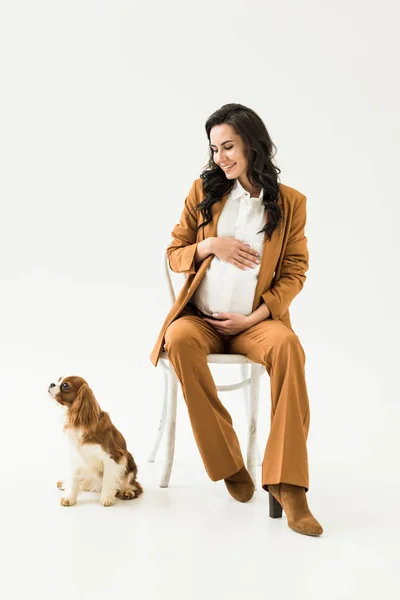 Brunette femme enceinte assise sur une chaise et regardant chien sur fond blanc — Photo de stock