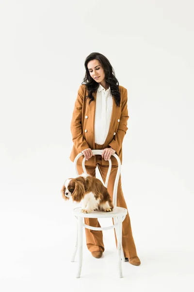 Mulher grávida elegante em terno olhando para o cão na cadeira no fundo branco — Fotografia de Stock