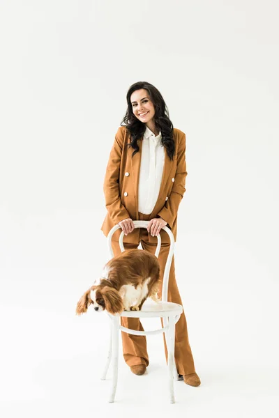 Wonderful pregnant woman in brown suit standing near dog on chair on white background — Stock Photo