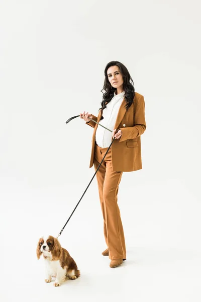Стильная беременная женщина в коричневом костюме стоит рядом с собакой на белом фоне — стоковое фото