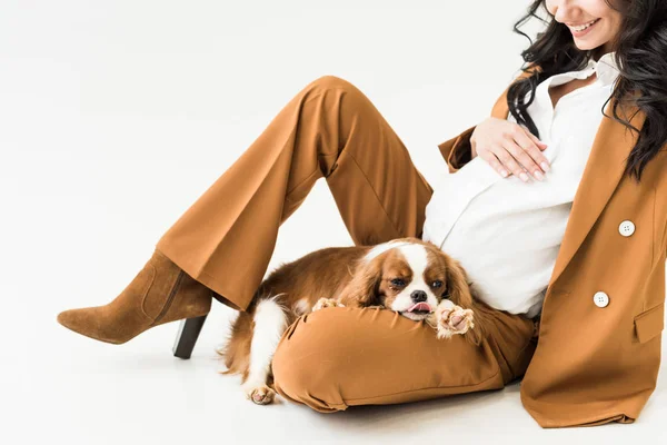 Vista recortada de la mujer embarazada riendo con perro tocando el vientre sobre fondo blanco - foto de stock