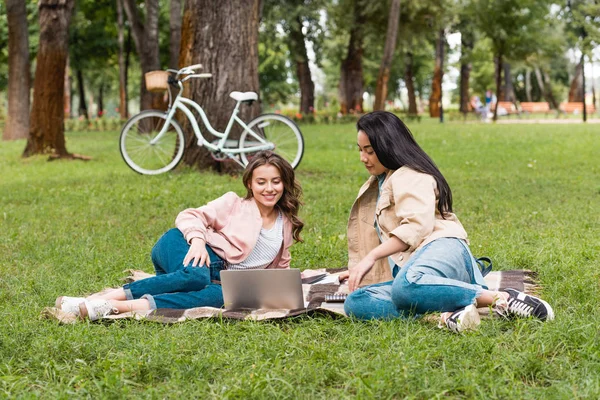 Filles gaies regardant ordinateur portable tout en ayant pique-nique dans le parc — Photo de stock