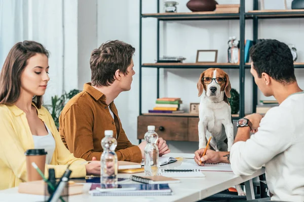 Tre studenti con quaderni seduti alla scrivania e guardando il cane beagle in occhiali — Foto stock