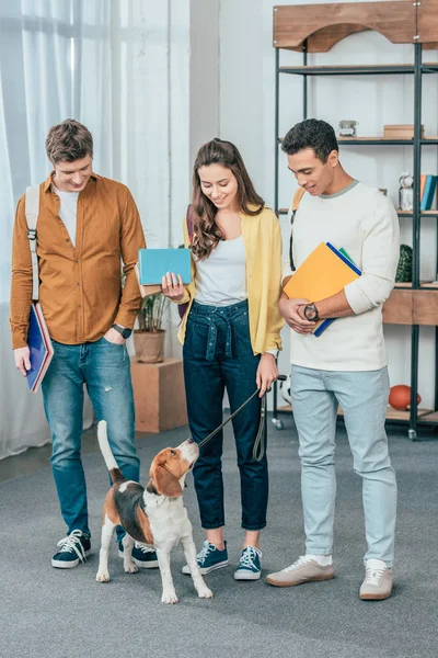 Full length view of three multiethnic smiling students with dog holding notebooks — Stock Photo