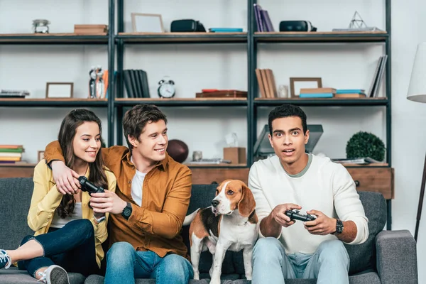 Trois amis multiculturels avec chien beagle tenant des joysticks et jouant à des jeux vidéo — Photo de stock