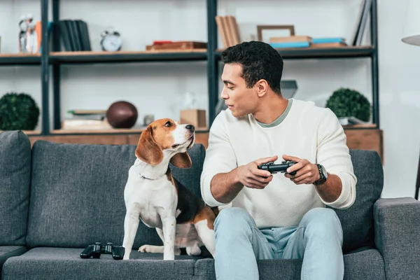 Усміхнений молодий чоловік з геймпад сидить на дивані і дивиться на собаку — стокове фото