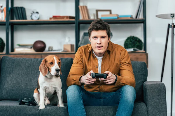 Молодий чоловік з собакою сидить на дивані і тримає джойстик — стокове фото