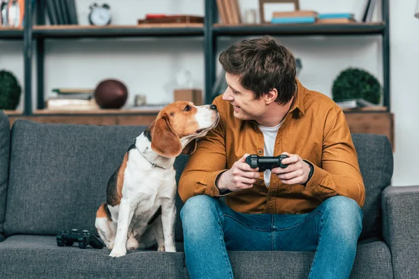 Улыбающийся молодой человек с геймпадом сидит на диване и смотрит на собаку — стоковое фото