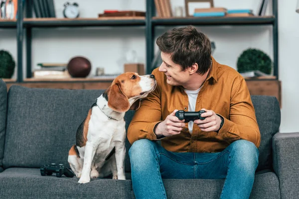 Jeune homme souriant avec manette de jeu assis sur le canapé et regardant chien — Photo de stock