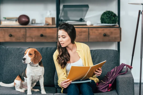Pretty student with dog sitting on sofa and holding notebooks — Stock Photo
