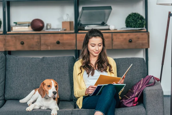 Гарненька студентка з бігль собакою сидить на дивані і читає блокнот у вітальні — стокове фото