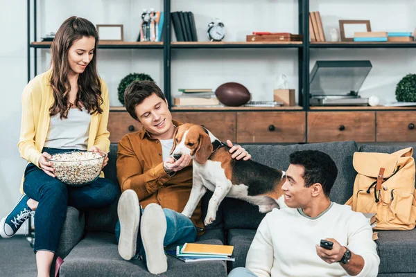 Три улыбающихся многонациональных друга с собакой и попкорном, сидящих на диване и смотрящих телевизор — стоковое фото