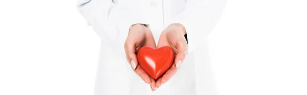 Панорамный снимок врача в белом халате с пластиковым сердцем, изолированным на белом — стоковое фото