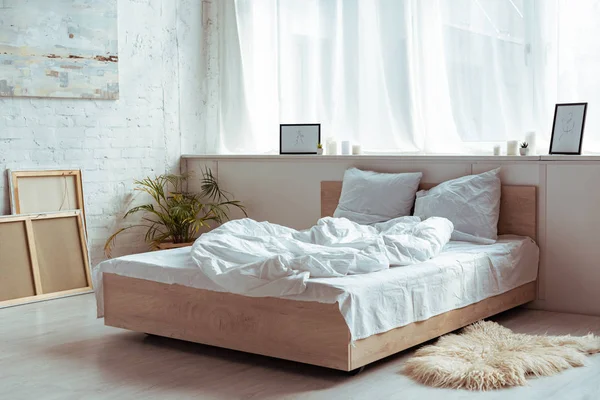 Interior del dormitorio con acogedora cama, almohadas, manta, fotos y planta - foto de stock