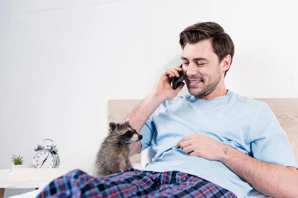 Весёлый мужчина разговаривает по смартфону, отдыхая в постели с милым енотом — стоковое фото