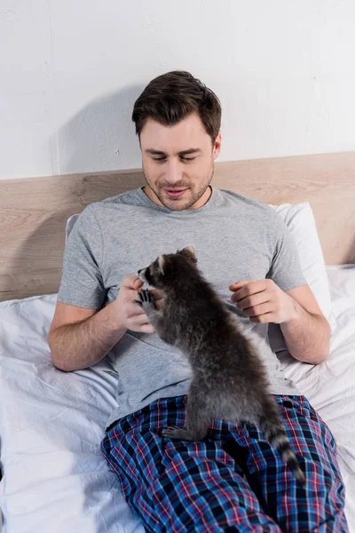 Guapo alegre hombre jugando con adorable mapache mientras descansa en la cama - foto de stock