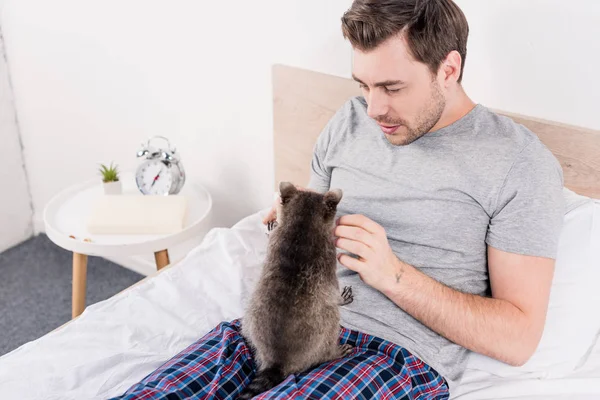 Mapache divertido sentado con un hombre guapo en la cama en el dormitorio - foto de stock